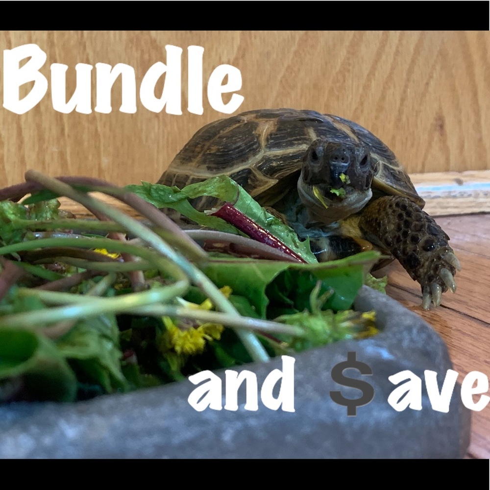 Bundle and $ave